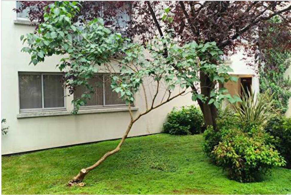 Location Bureaux Paris 12 75012 160&nbsp;m²