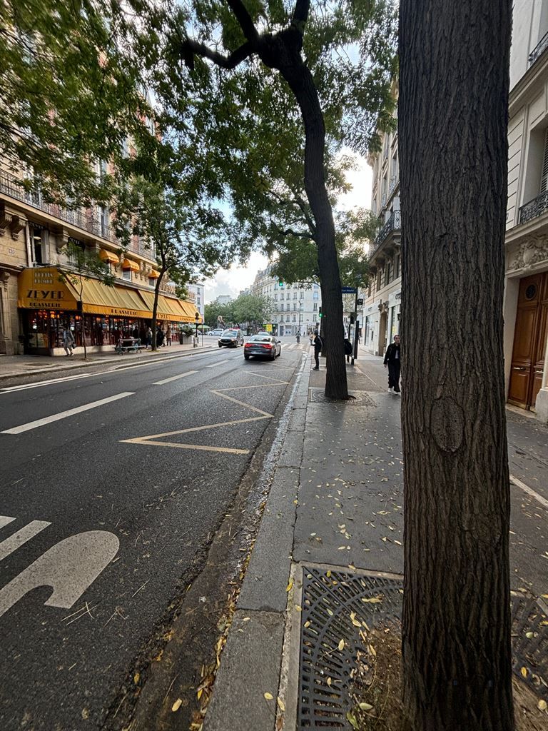 Cession de bail Commerce Paris 14 75014 40 m²