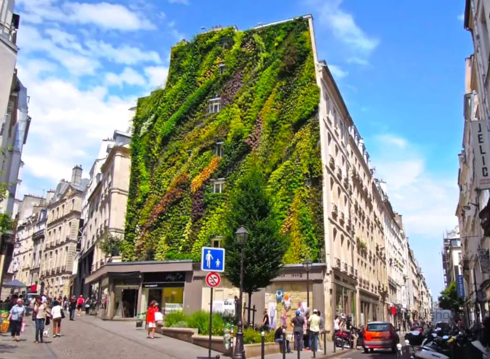 Location Commerce Paris 2 75002 124 m²