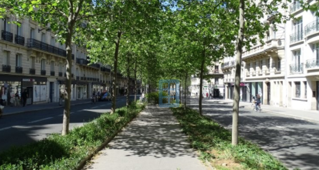 commerce en location sur PARIS (75006) - Voir les photos  Location Commerce Paris 6 75006 81 m²