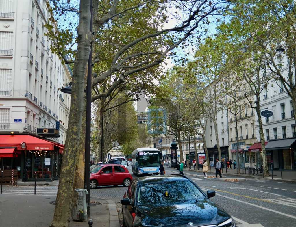Location Commerce Paris 8 75008 42&nbsp;m²
